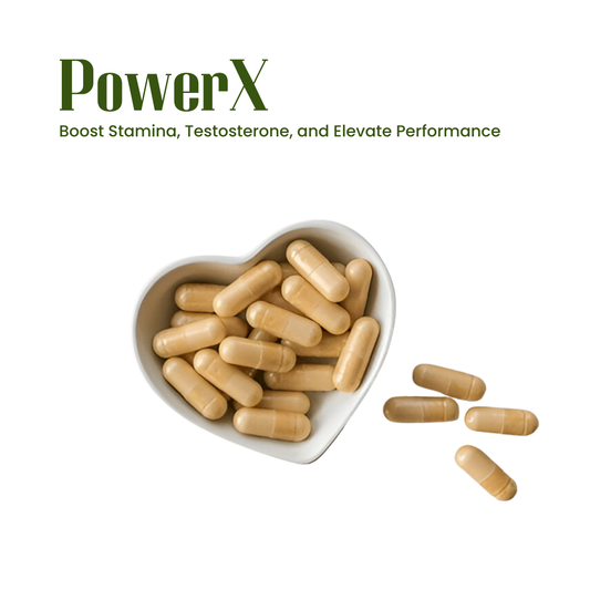 PowerX